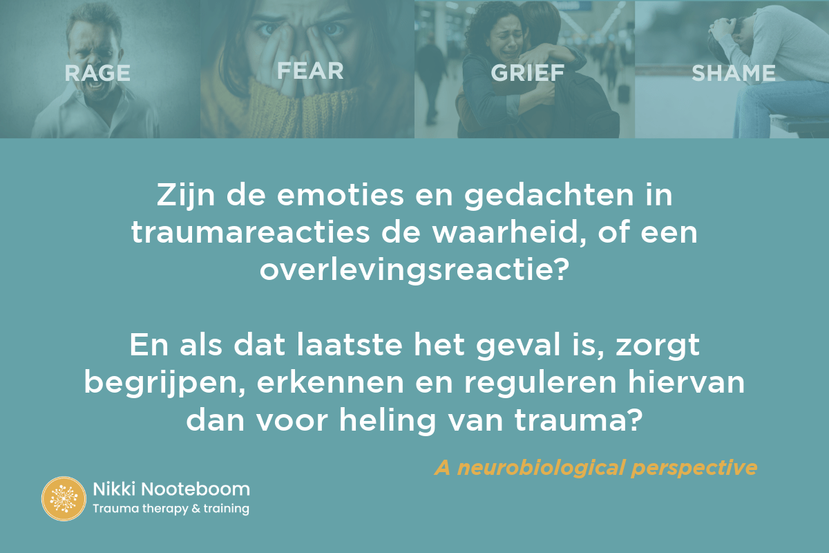 Vier plaatjes van autonome emotiestaten uit het overlevingsbrein: Woede, Angst, Schaamte en. verdriet