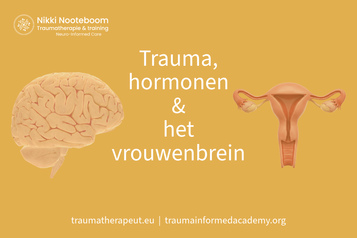 Foto's van een brein en het vrouwelijke reproductieorgaan, met tekst: trauma, hormonen en het vrouwenbrein