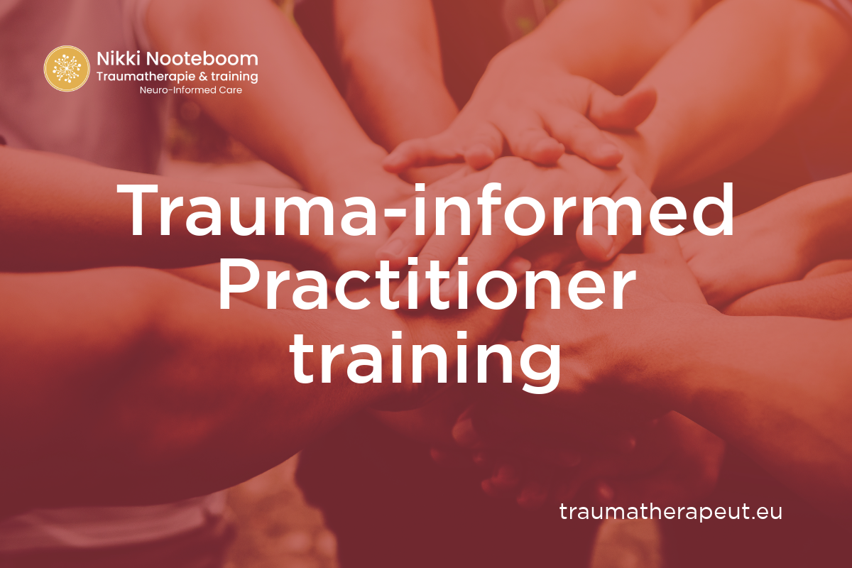 Trauma-Informed Practitioner training